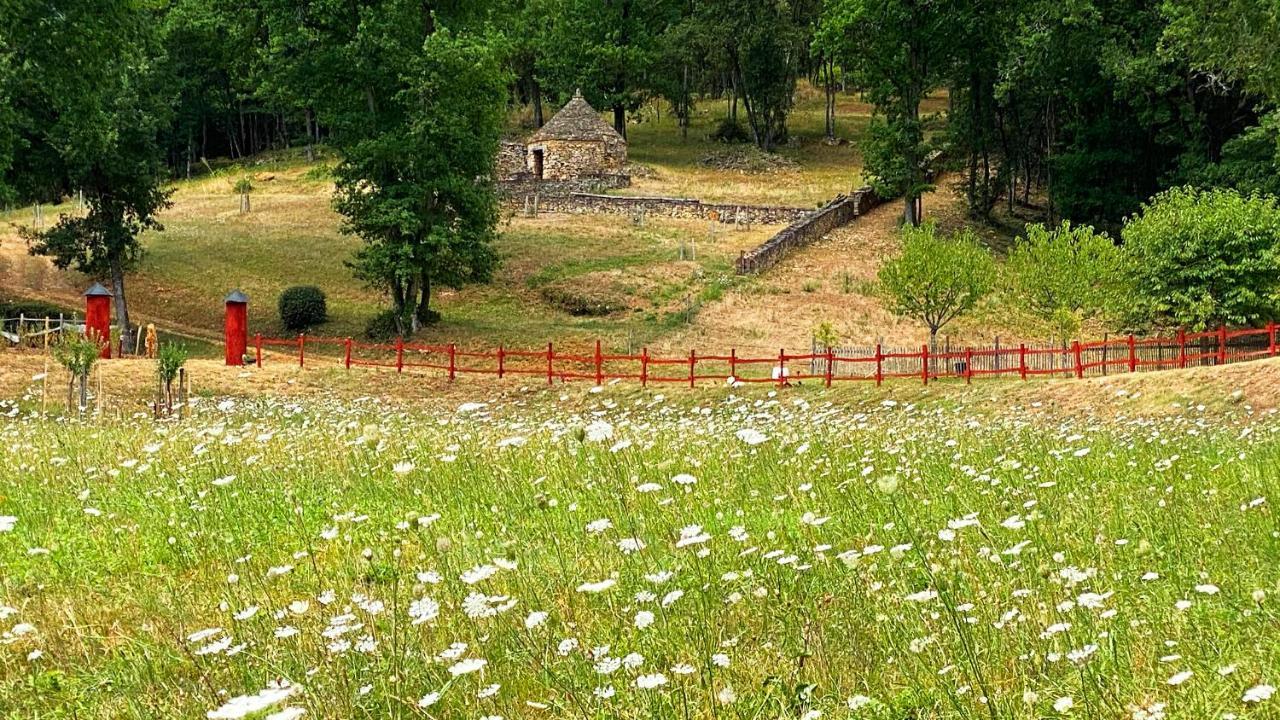 Eco-Hameau Du Sentier Des Sources Villa Sarlat-la-Canéda Exterior foto